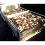 Kiln-Dried Logs Tipped Loads - (NR & IP Postcodes Only)